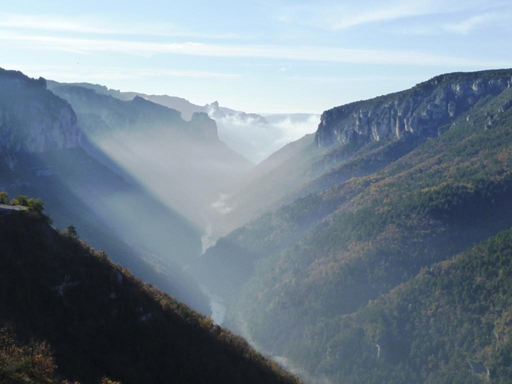 Gite La Cerise Qui Rit La Cresse Exteriör bild