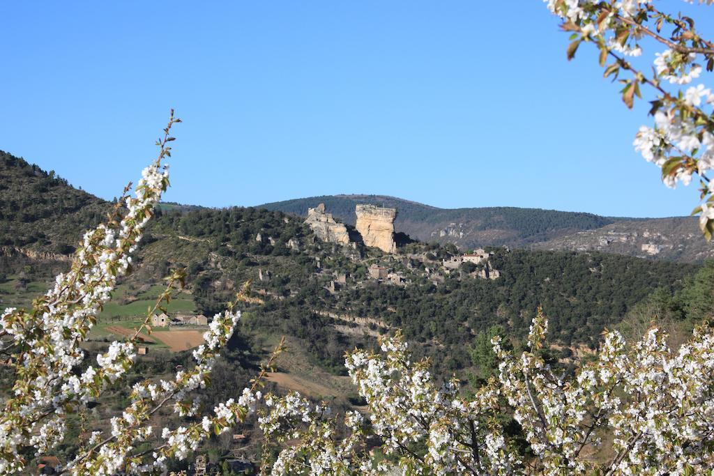 Gite La Cerise Qui Rit La Cresse Exteriör bild